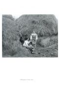 Шедевры фотографии из частных собраний. Русская фотография 1849-1918