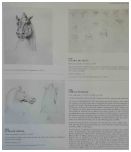Théodore Géricault. Étude Critique, Documents et Catalogue Raisonné в 7-ми тт.
